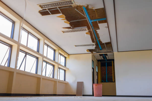 Best Water damage cleanup near me  in Coral Terrace, FL