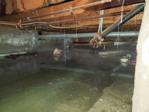 Best Residential water damage restoration  in Coral Terrace, FL