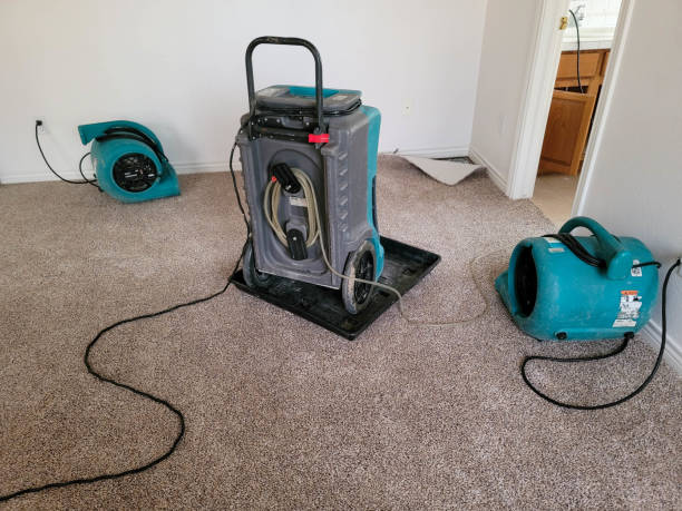 Best Sewage cleanup and water damage restoration  in Coral Terrace, FL