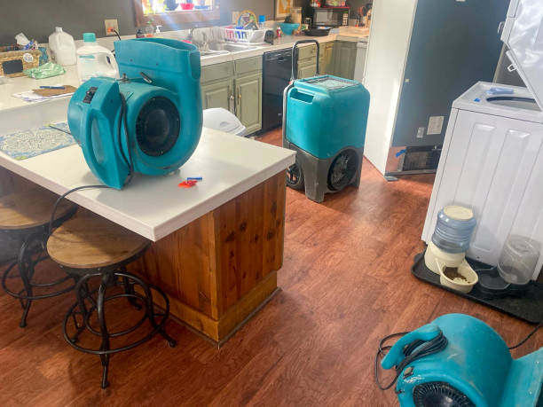 Best Water damage restoration services  in Coral Terrace, FL
