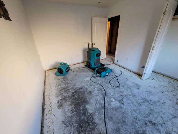  Coral Terrace, FL Water damage restoration Pros