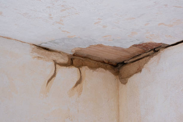 Best Ceiling water damage repair  in Coral Terrace, FL
