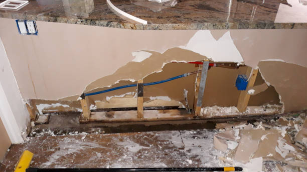 Best Professional water damage repair  in Coral Terrace, FL