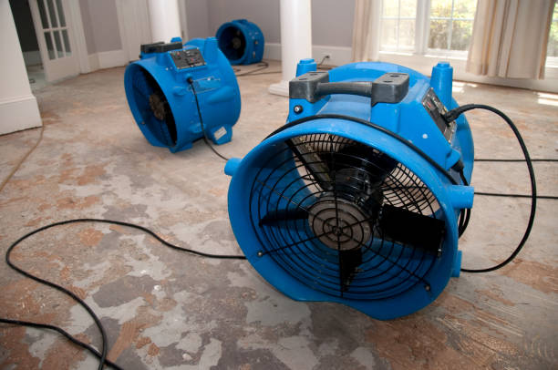 Best Local water damage restoration  in Coral Terrace, FL