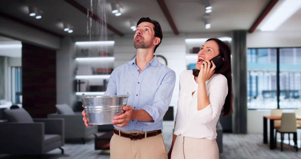 Best Mold removal after water damage  in Coral Terrace, FL