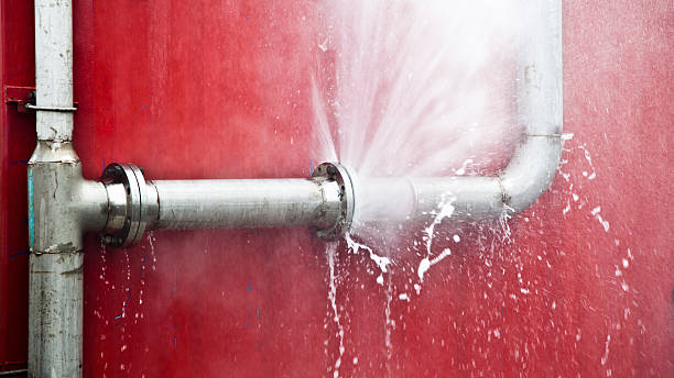 Best Water damage contractors near me  in Coral Terrace, FL